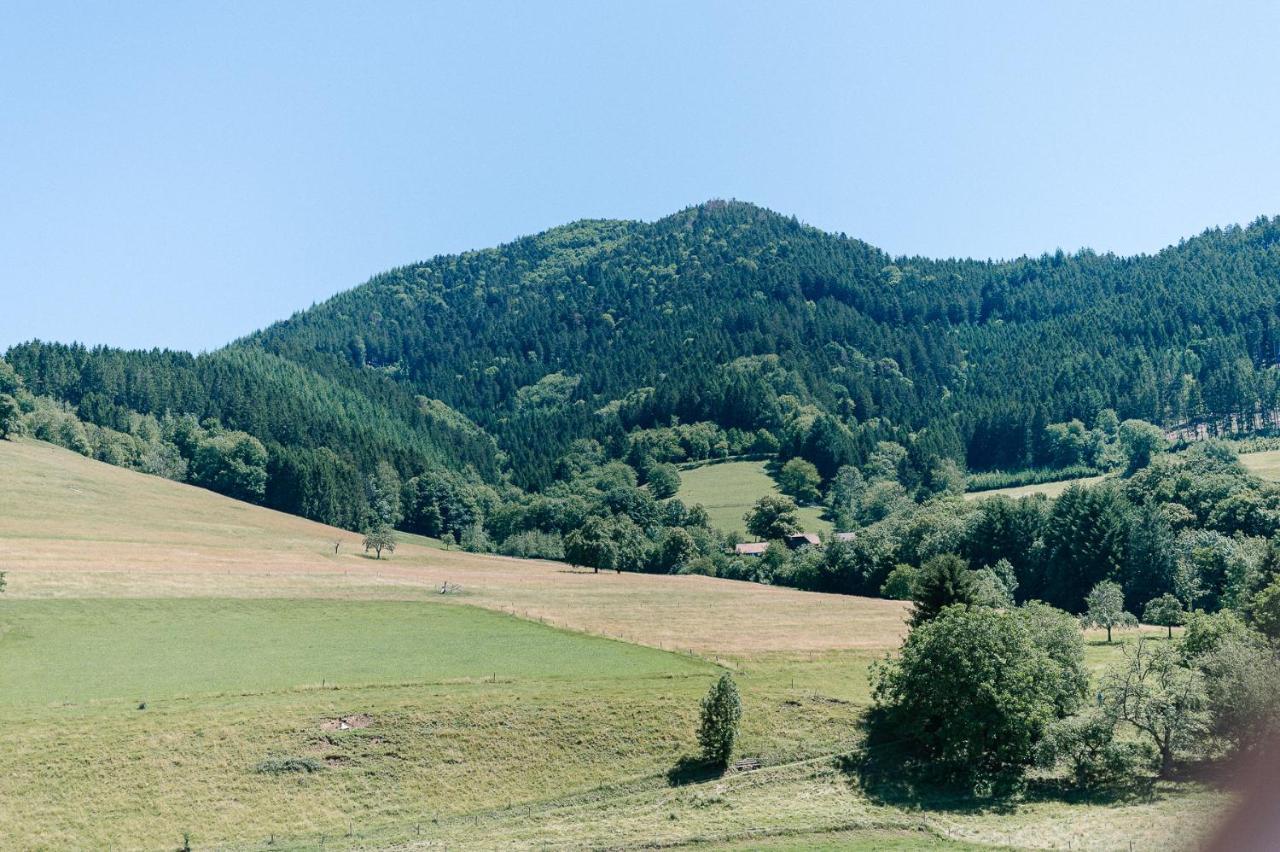 Moderne 2 Zi.Fewo Blackforest Art Naehe Freiburg Simonswald Exterior photo