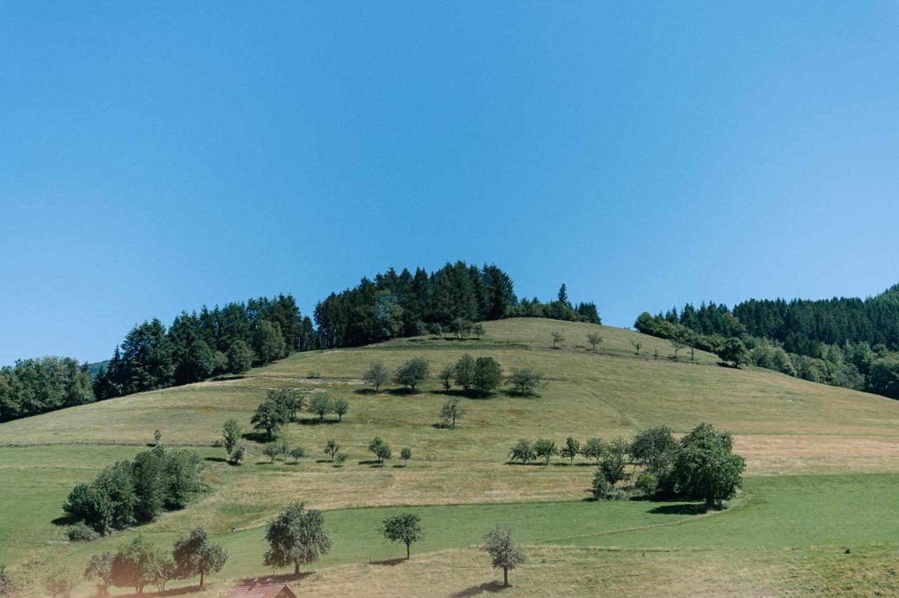 Moderne 2 Zi.Fewo Blackforest Art Naehe Freiburg Simonswald Exterior photo